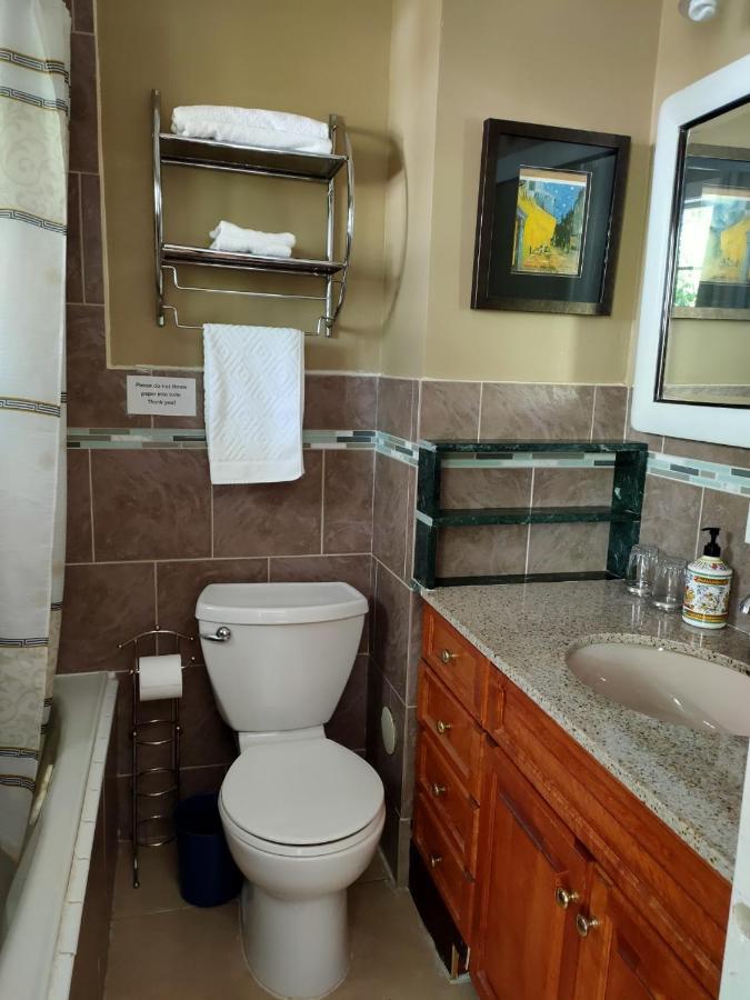 מלון וויט רוק Semi Centre House מראה חיצוני תמונה